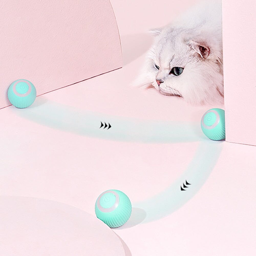 AutoBall™ - Jouet électrique interactifs pour chats - amour de chats